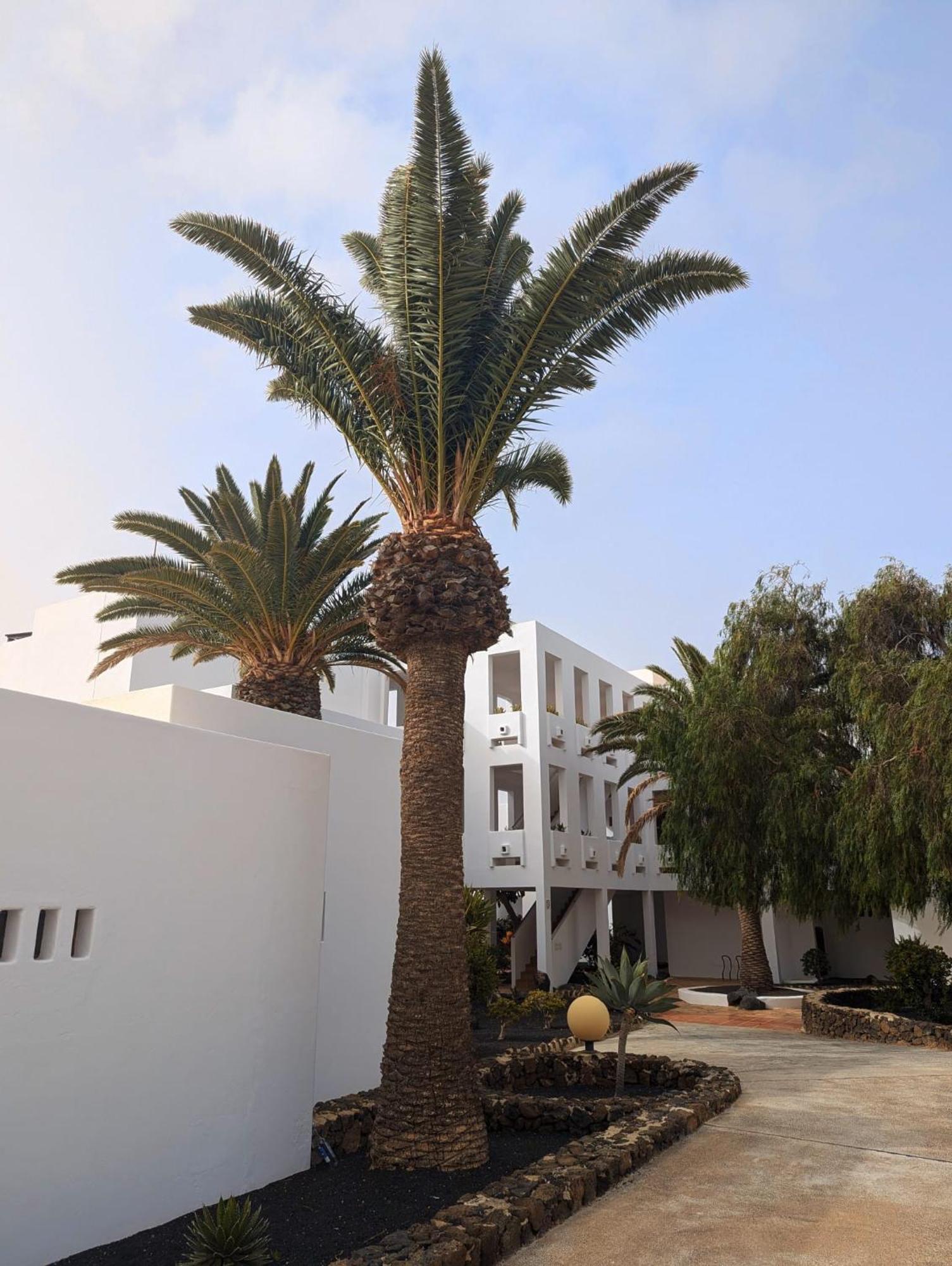 Charming Flat In Los Molinos With Terrace & Pools, Near Playa Bastian Costa Teguise Kültér fotó
